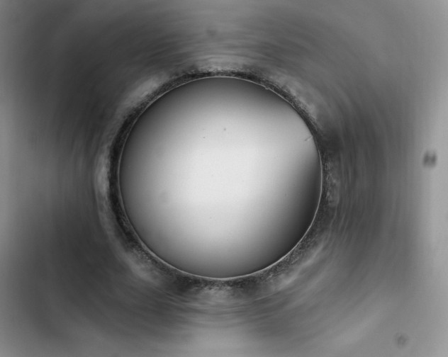 X0000102870631200808181506