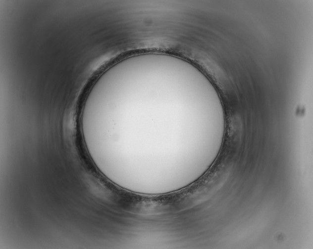 X0000102870632200808181506