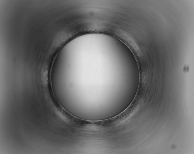 X0000102870633200808181506