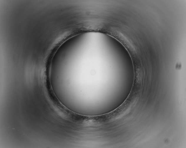 X0000102870634200808181506