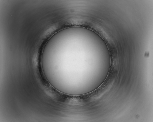 X0000102870635200808181506