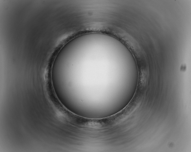 X0000102870636200808181506