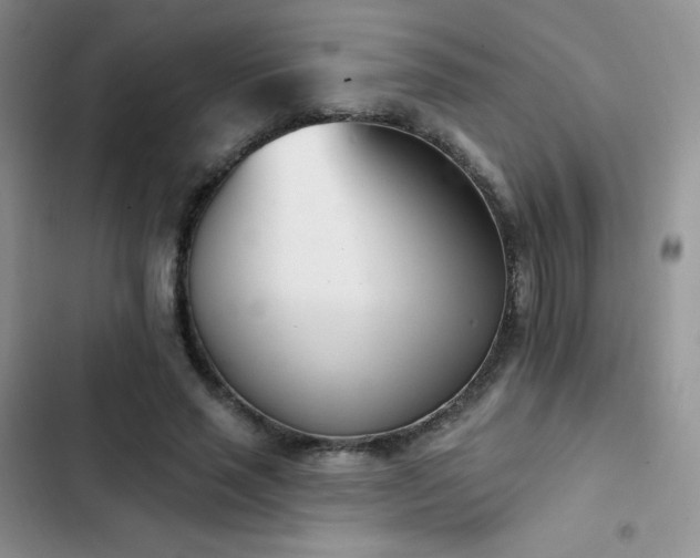 X0000102870637200808181506