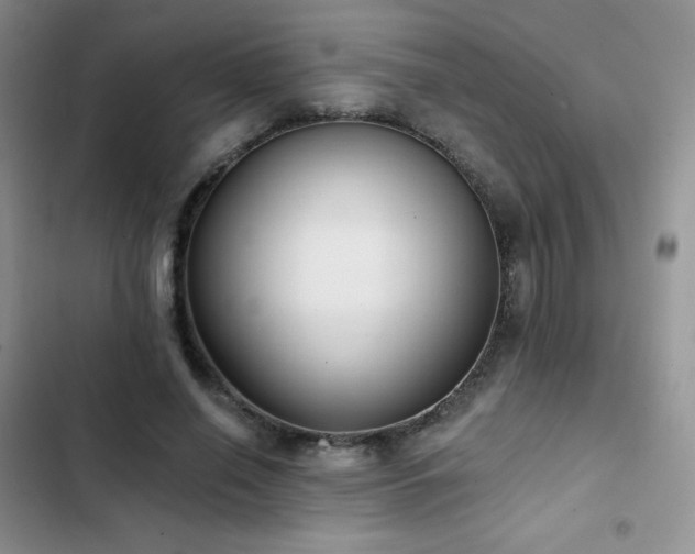 X0000102870638200808181506