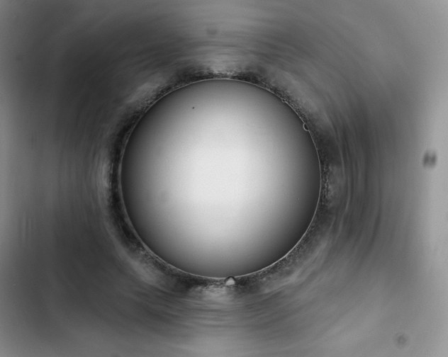 X0000102870639200808181506