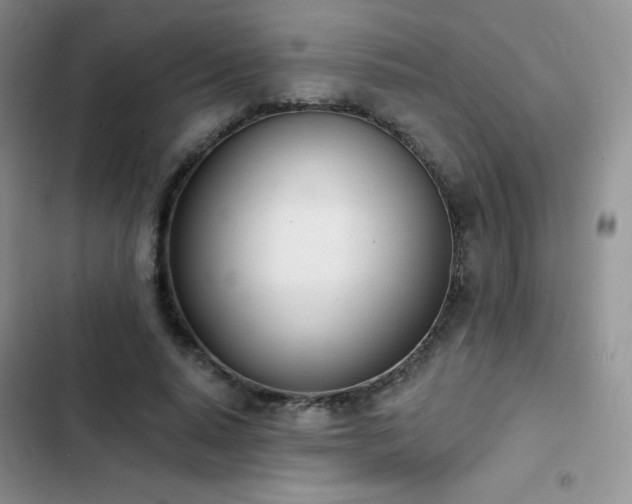 X0000102870640200808181506
