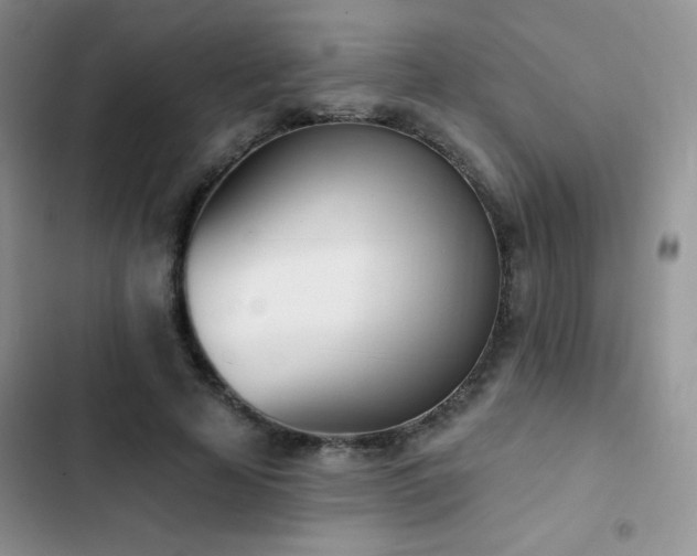 X0000102870641200808181506