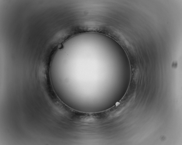 X0000102870643200808181507