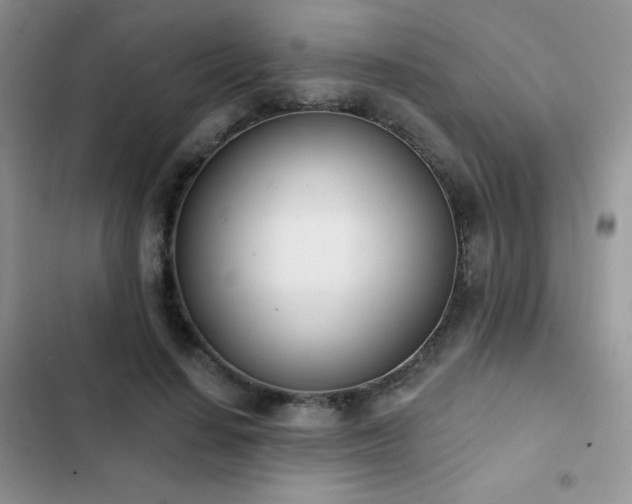 X0000102870644200808181507