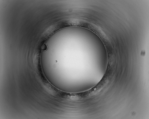 X0000102870645200808181507