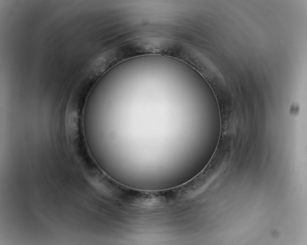 X0000102870646200808181507