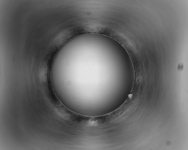 X0000102870647200808181507