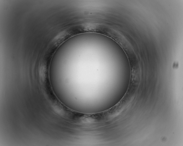X0000102870648200808181507