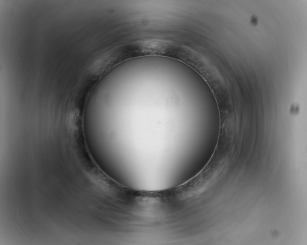 X0000102870649200808181507