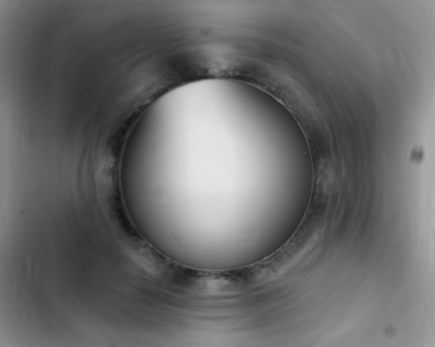 X0000102870650200808181507