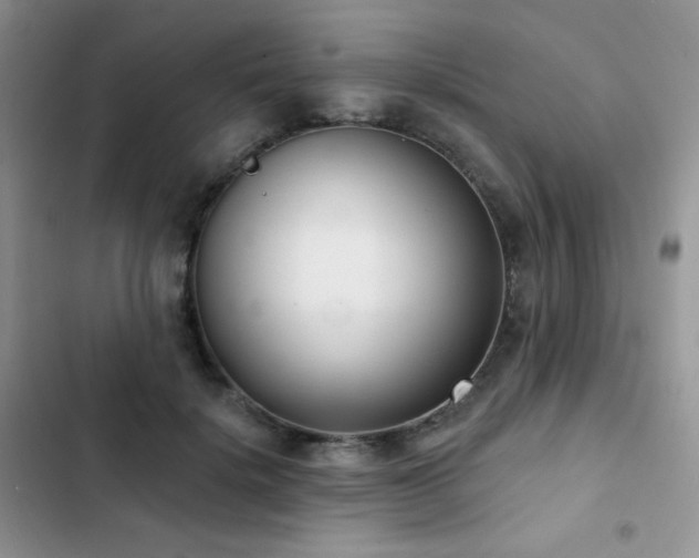 X0000102870652200808181507