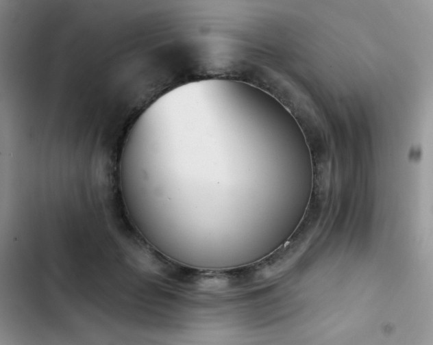 X0000102870653200808181507