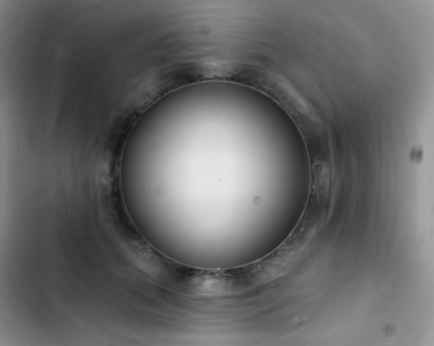 X0000102870655200808181507