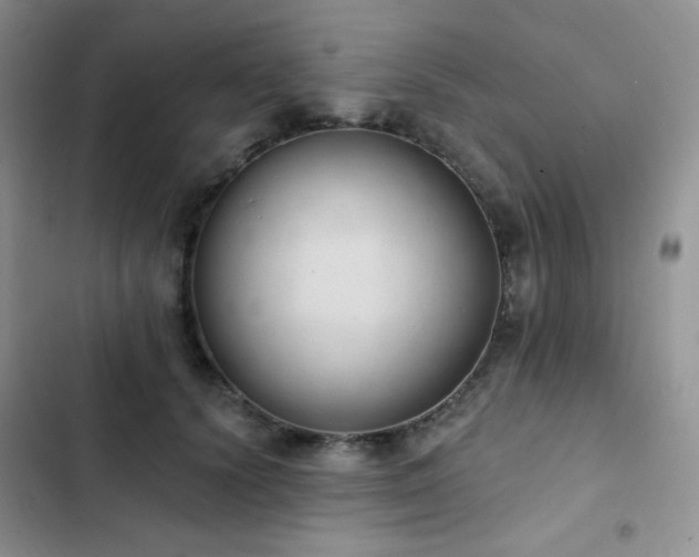 X0000102870656200808181507