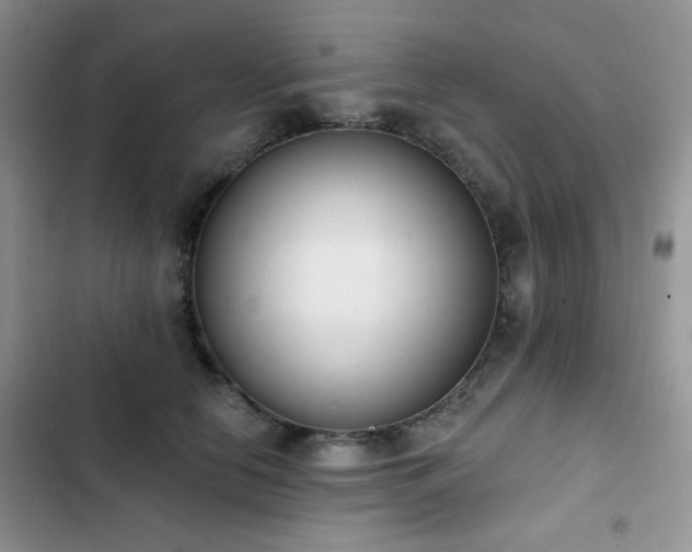 X0000102870658200808181507