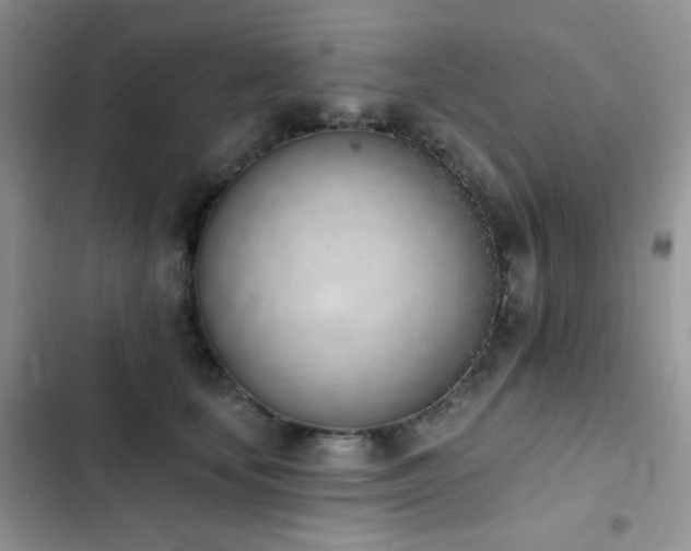 X0000102870659200808181507
