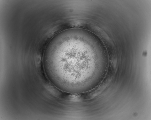 X0000102870660200808181507