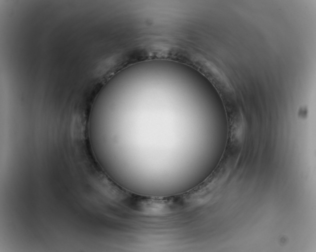 X0000102870661200808181507