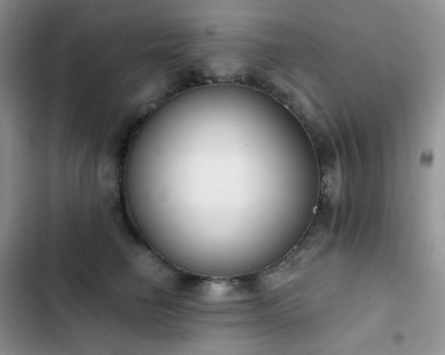 X0000102870662200808181507