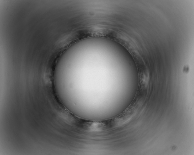 X0000102870663200808181507