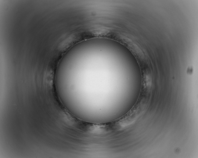 X0000102870664200808181507