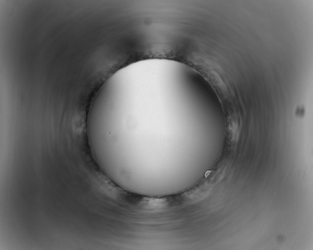 X0000102870665200808181507