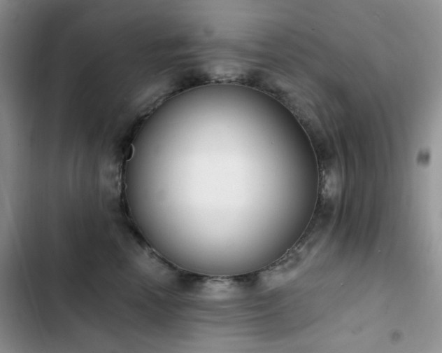 X0000102870666200808181507