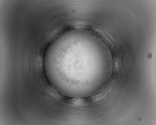 X0000102870667200808181507