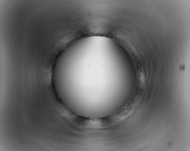 X0000102870668200808181507