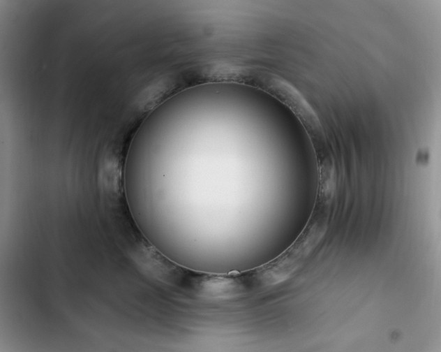 X0000102870669200808181507