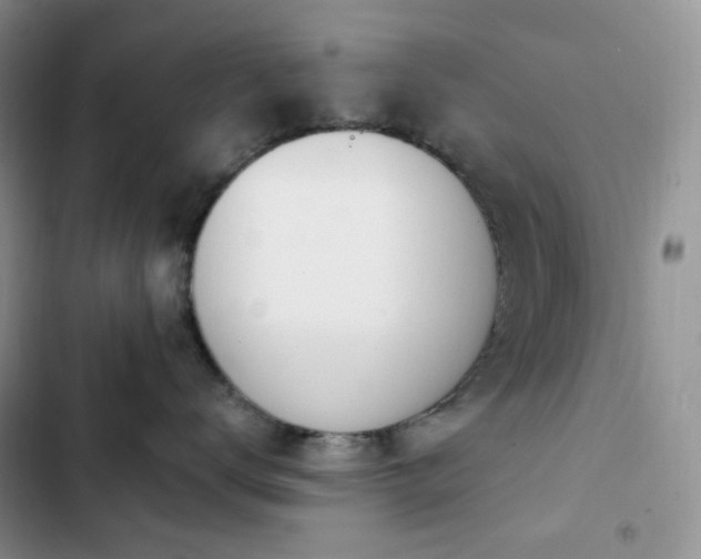 X0000102870672200808181507