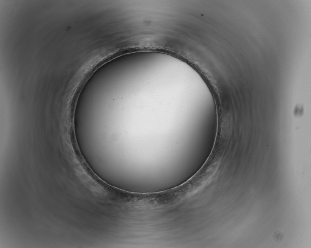 X0000102870673200808181506