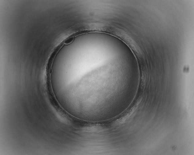 X0000102870674200808181506