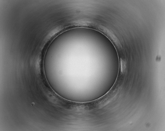 X0000102870675200808181506