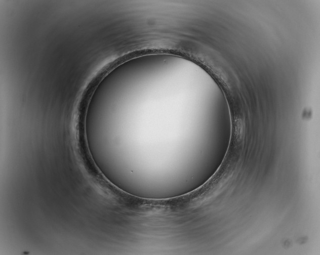 X0000102870676200808181506