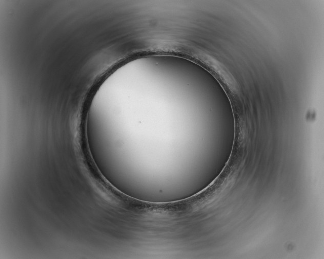 X0000102870677200808181506