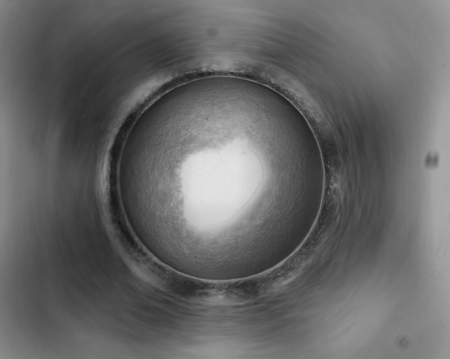X0000102870678200808181506