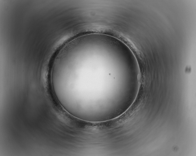 X0000102870679200808181506
