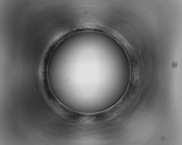 X0000102870680200808181506