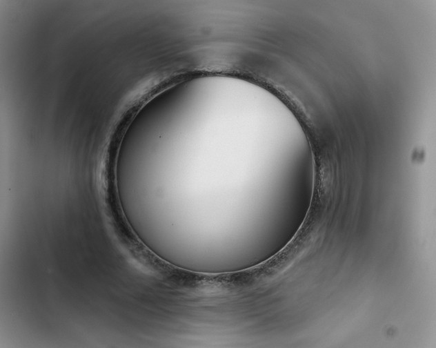X0000102870682200808181506