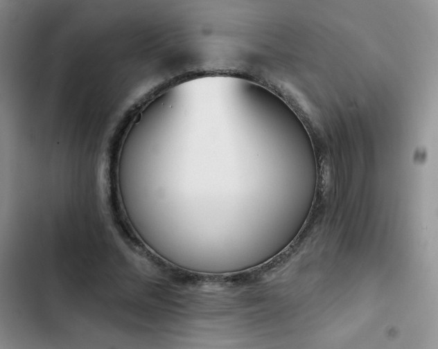 X0000102870684200808181506