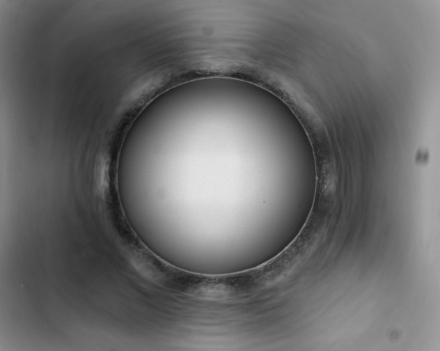 X0000102870685200808181506