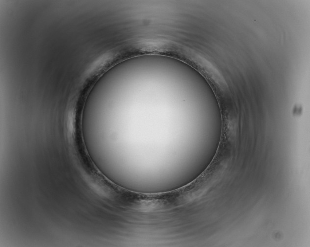 X0000102870686200808181506