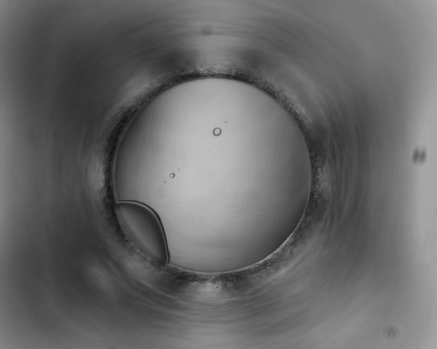 X0000102870687200808181506