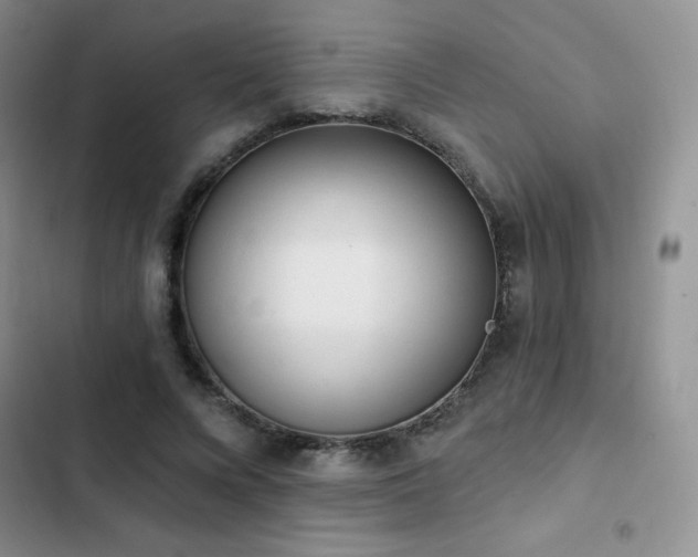 X0000102870688200808181506